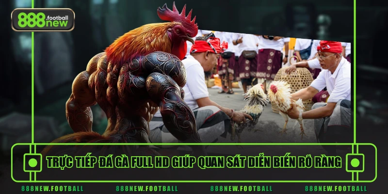 Đá Gà 2 Trực tiếp đá gà Full HD giúp quan sát diễn biến rõ ràng